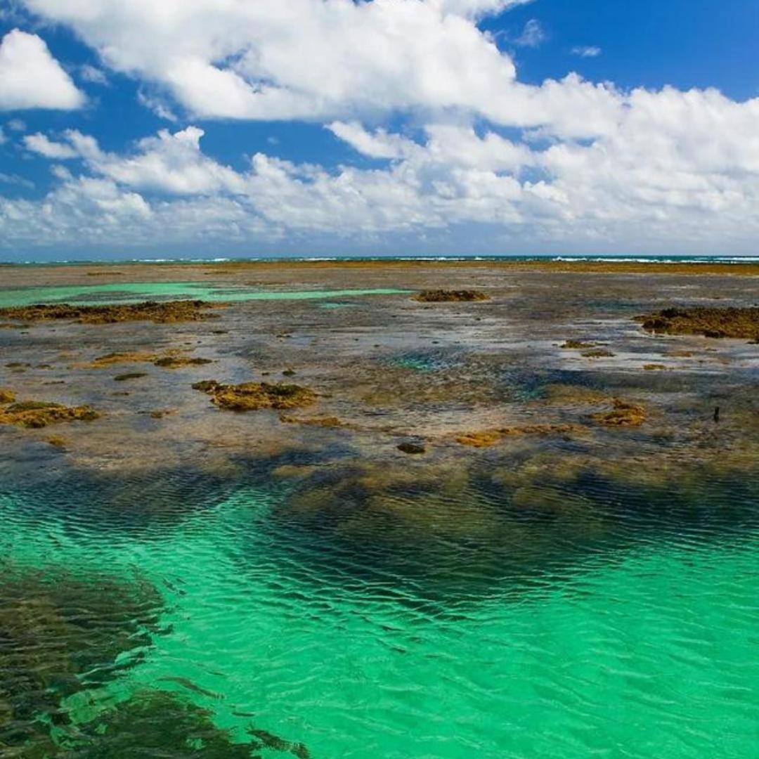 Pousada Solar Dos Carneiros Praia dos Carneiros Exteriör bild